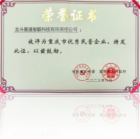 重庆市优秀民营企业证书